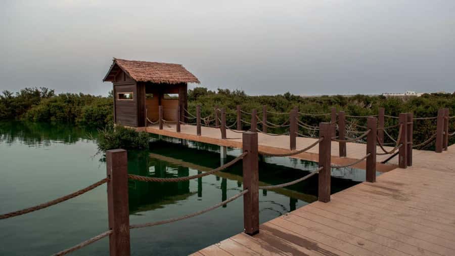Doha : Private North of Qatar Tour, Zubara Fort & Mangroves - Who This Tour Suits Best (And Who Might Want Another Option)