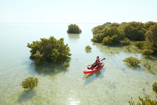 Doha Private North Qatar Tour, Mangroves and Al Zubarah Fort - Al Zubara Fort, UNESCO fortress plus village remnants
