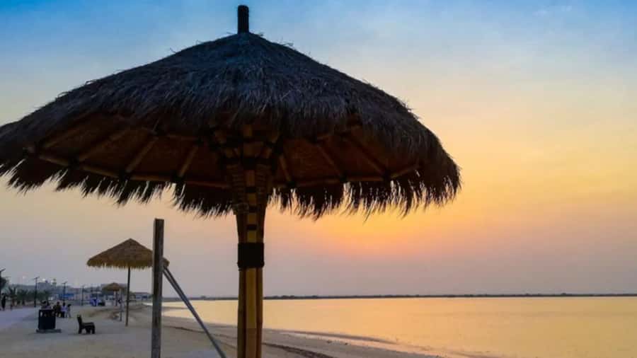 Doha: Private North Qatar Tour, Mangroves, & Zubara Fort - Key points before you go