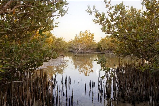 Doha Private North Tour Zubara Fort Purple Island & Mangrove - Purple Island (Al Khor Island): why the causeway matters