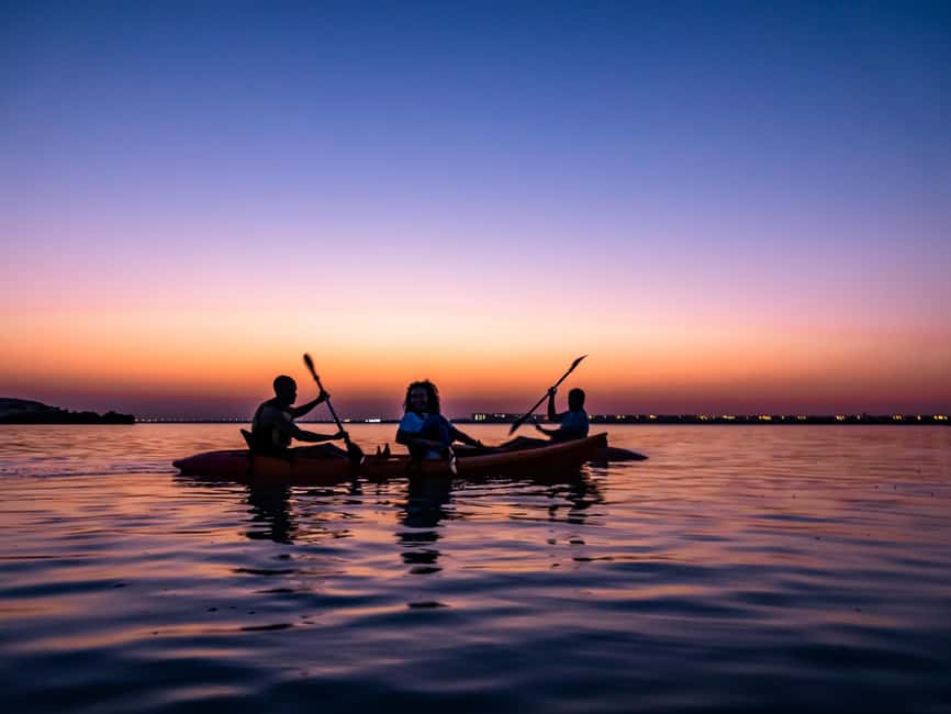 Doha: Private Purple Island Mangroves Kayaking Adventure - Why the Al Thakira mangroves and Purple Island feel different from Doha