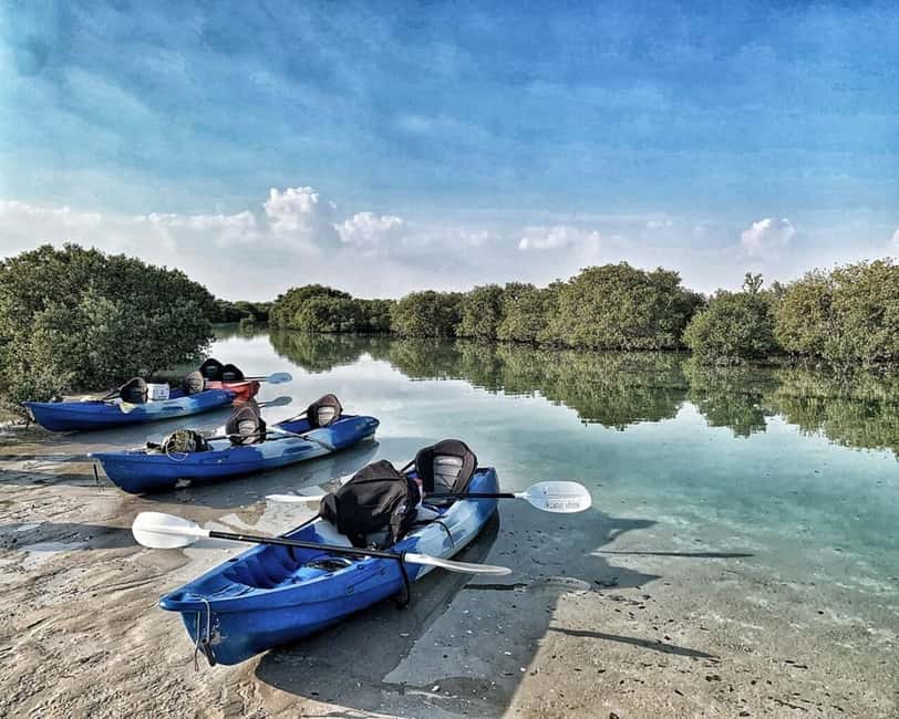 Doha: Private Purple Island Mangroves Kayaking Adventure - Kayaking the Al Thakira Natural Reserve, where birds and roots steal the show