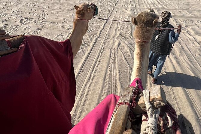 Doha Qatar ATV Quad Bike Buggy Dune Bashing and Camel Ride - Dune bashing at Sealine Beach: sandboarding gets tacked on