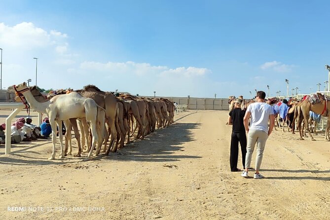 Doha, Qatar: Came Racing Track, Oryx & Sheikh Faisal Museum Tour. - Sheikh Faisal Museum: a private collection with real range
