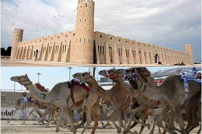 Doha, Qatar: Came Racing Track, Oryx & Sheikh Faisal Museum Tour. - Equestrian Club on the way back: royal stable vibes, not a lecture