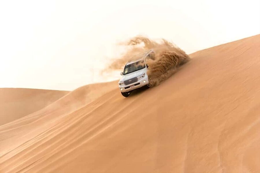 Doha Qatar : sealine adventure Camel Ride sandboard Sunset - Key points to know before you go