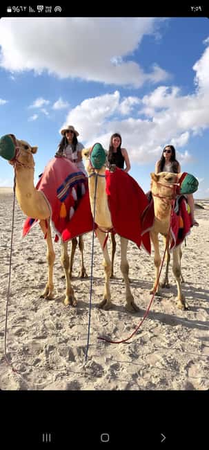 Doha Qatar : sealine adventure Camel Ride sandboard Sunset - Sandboarding on the dune top: where the fun gets real