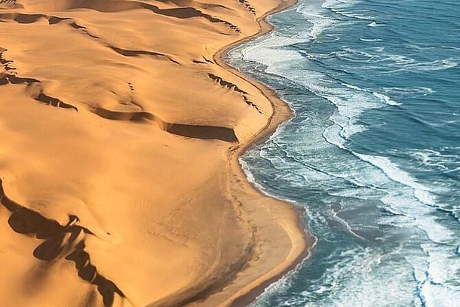 Doha Quad Bike, Dune Bashing, Camel Ride and Inland Sea Tour - Key highlights to know before you go