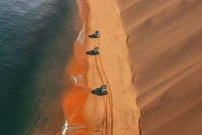 Doha Quad Bike, Dune Bashing, Camel Ride and Inland Sea Tour - Best Fit: Who This Tour Suits Most (and Who Should Think Twice)
