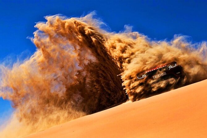 Doha Quad Bike, Dune Bashing, Camel Ride and Island Sea Tour - Price and value: is $100 per person a fair deal?