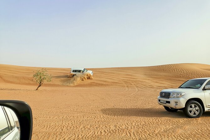 Doha Quad Bike, Dune Bashing, Camel Ride and Island Sea Tour - Who this Doha desert tour is best for