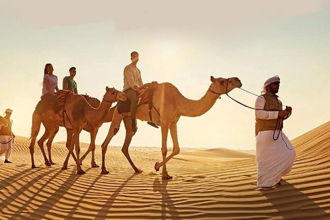 Doha Quad Bike, Dune Bashing, Camel Ride and Island Sea Tour - Sealine Beach and dune bashing: the thrill part, plus those “from the top” photos