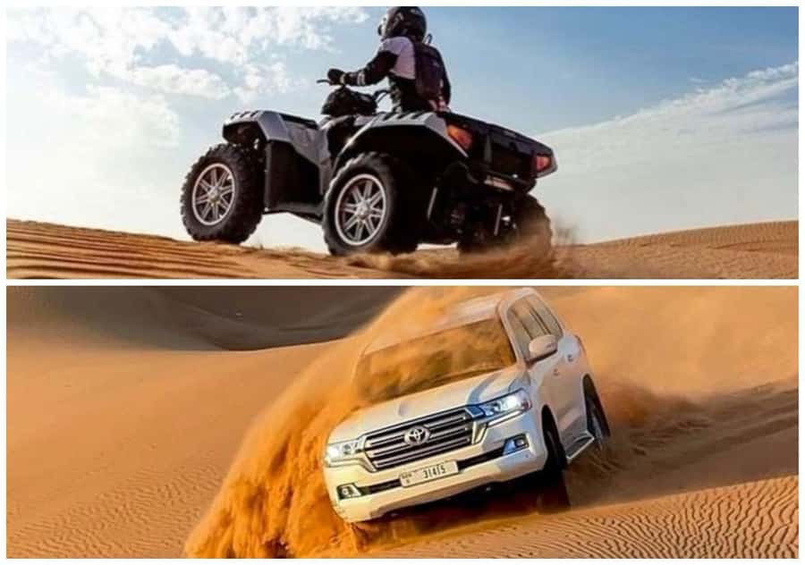 Doha: Quad Bike, Dune Bashing, Camel Ride & Inland Sea Tour - Price and Value: Why About $20 Can Make Sense