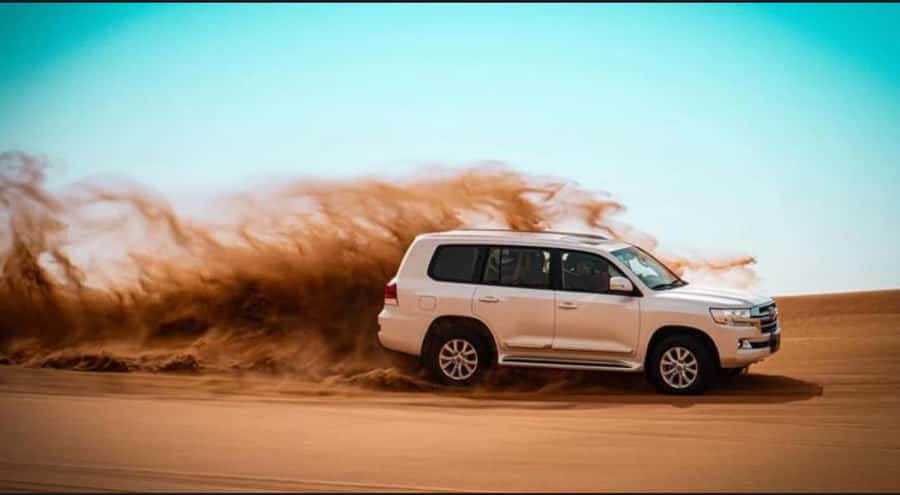 Doha: Relax Desert Safari, Camel Ride, Inland Sea, Swimming - Key Highlights You Should Know Before You Go