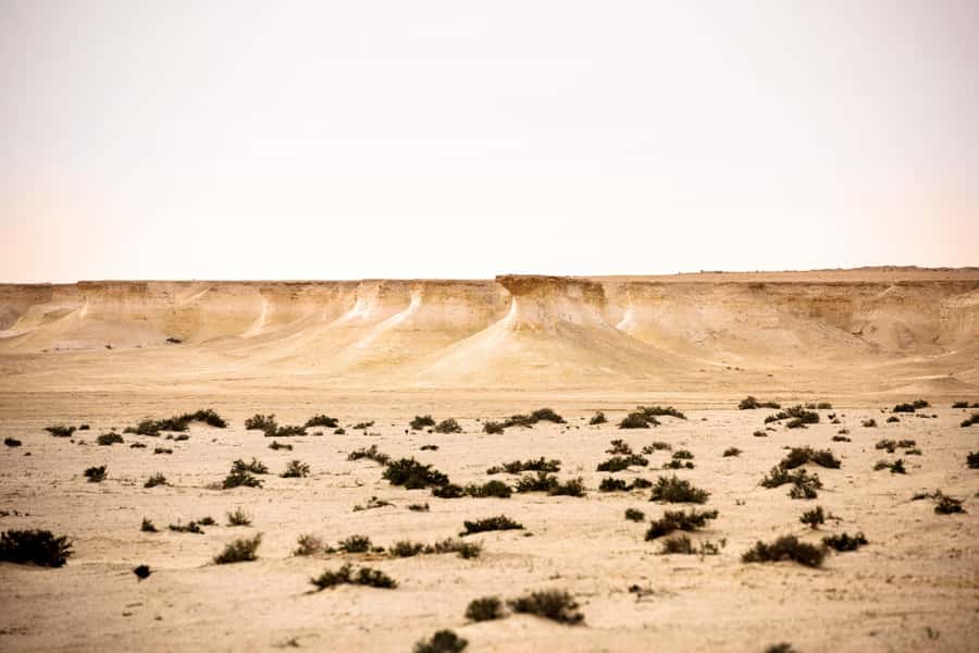 Doha: Richard Serra Sculpture,Mushroom Hill,Camel Race Track - Zekreet Mushroom Hill: why the rock shapes feel so iconic