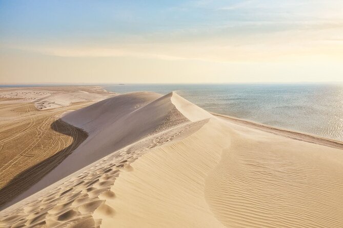 Doha Safari Adventures, Dune Bashing, Sand Buggy, Camel Ride Tour - Camel Ride and Dune Bashing Where the Sands Sit Near the Sea