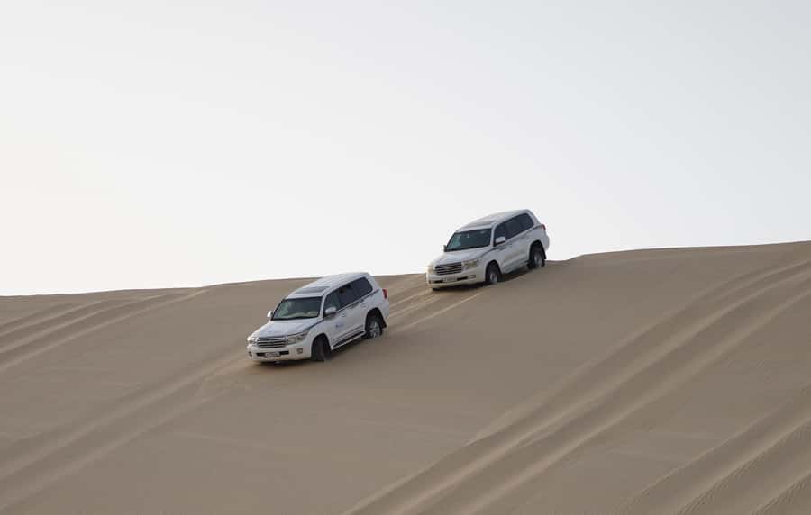 Doha: Safari, ATV, Camels, Sandboarding and Inland Sea Tour - Guides Matter: The Difference Between Good and Great Desert Driving