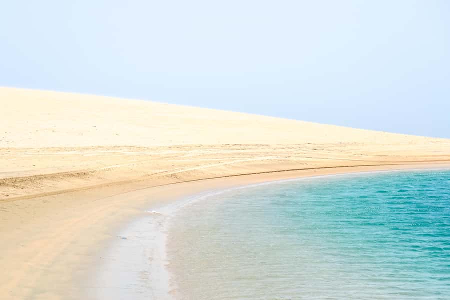 Doha: Safari, ATV, Camels, Sandboarding and Inland Sea Tour - Who Should Book This Tour, and Who Should Skip It