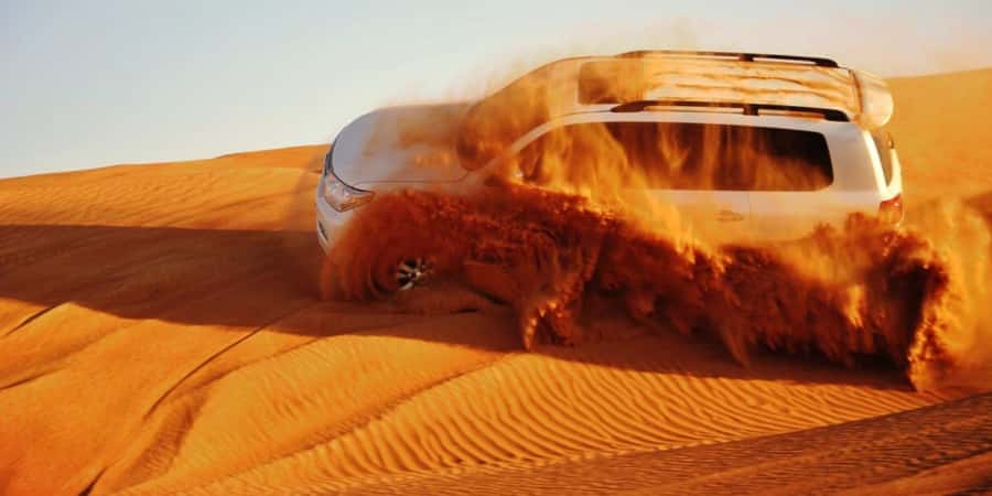 Doha: Safari, Camel Ride, Sandboarding and Inland Sea Tour - Camel ride: Short, but it changes the vibe