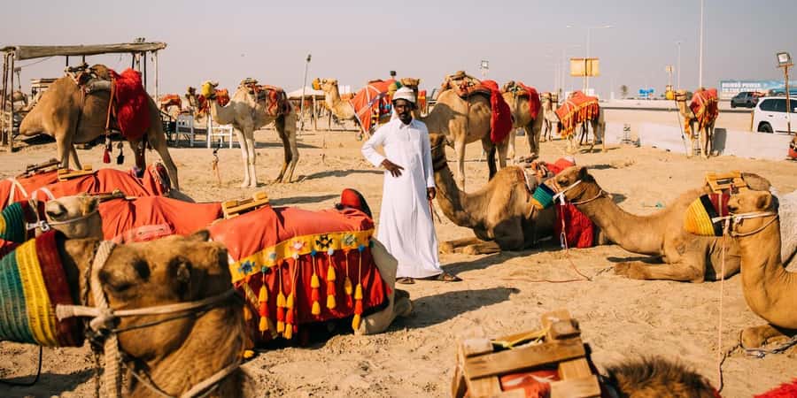 Doha: Safari, Camel Ride, Sandboarding and Inland Sea Tour - Inland Sea at sunset: The reason this tour feels special