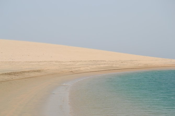 Doha: Safari, Dune bashing, Camel Ride, Sandboarding & Inland Sea - Dune Bashing: The Thrill Part You Came For