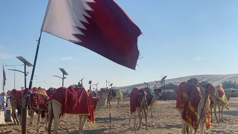 Doha: Safari | Inland Sea Tour | Camel Ride | Sandboarding - Key highlights worth your time