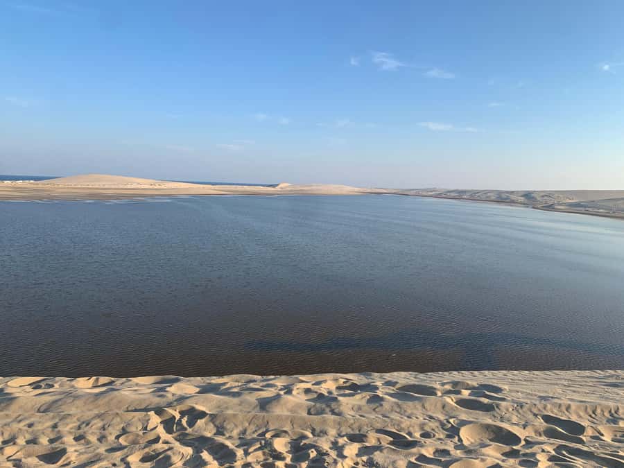Doha: Safari | Inland Sea Tour | Camel Ride | Sandboarding - Sealine Beach, Mesaieed: the camel ride and the quick photo stop