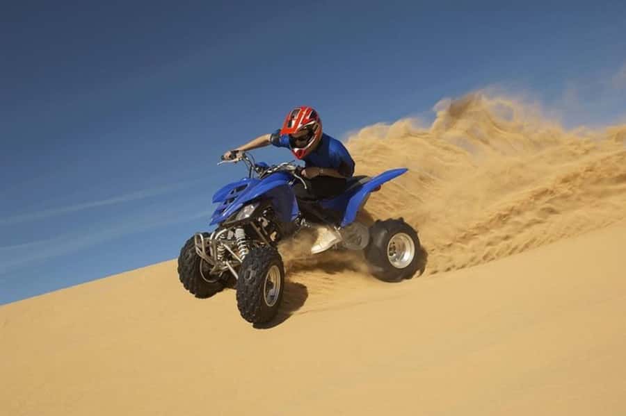 Doha Safari Quadbike, CamelRide, Sandboarding & Inland Sea - Key Highlights You Should Actually Care About