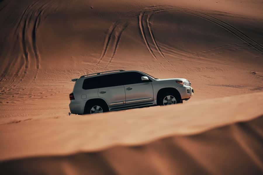 Doha:Safari Tour with Lunch/Dinner in Desert by the Sea Side - Pick-up around Doha, and how to make the meeting point painless