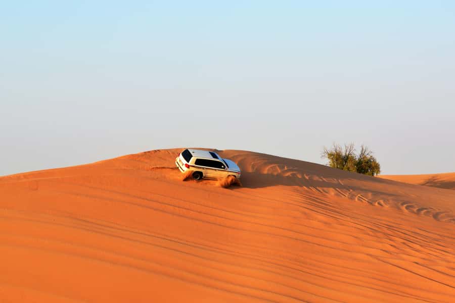 Doha:Safari Tour with Lunch/Dinner in Desert by the Sea Side - Sandboarding with the board included: fun, but plan for control