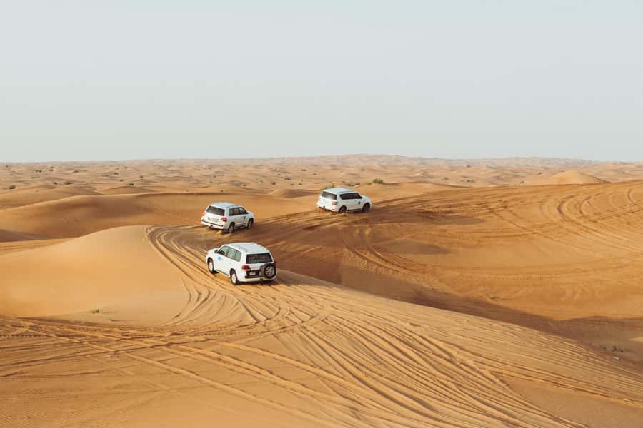 Doha:Safari Tour with Lunch/Dinner in Desert by the Sea Side - Who should book this safari, and who should skip it