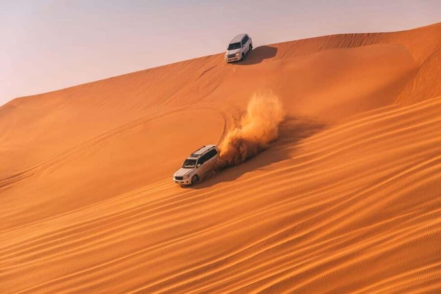 Doha Safari with Camel Ride, Inland Sea & Hotel Transfer - Key things that make this safari a strong choice
