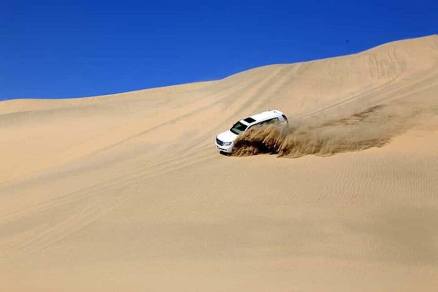 Doha Safari with Camel Ride, Inland Sea & Hotel Transfer - Dune bashing in 4x4: where the driver skill really matters