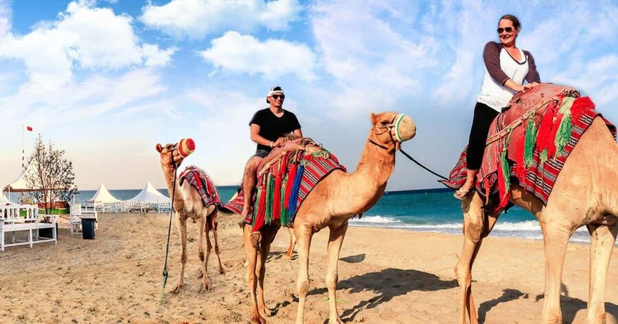 Doha Safari with Camel Ride, Inland Sea & Hotel Transfer - Water, tea, and the small comforts that keep it smooth