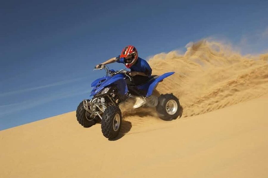 Doha Safari with Camel Ride, Inland Sea & Hotel Transfer - What the 4 hours feels like, stop by stop
