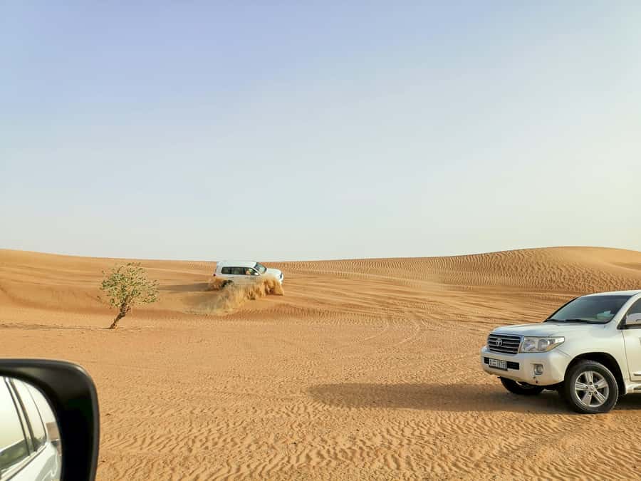 Doha: Shared Desert Safari, Sandboarding, Camel Ride - Dune Bashing, Sandboarding, and the Inland Sea in One Half-Day