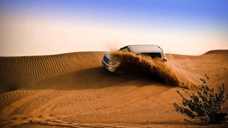 Doha: Shared Desert Safari, Sandboarding, Camel Ride - The Main Event: Dune Bashing for Around 40 Minutes