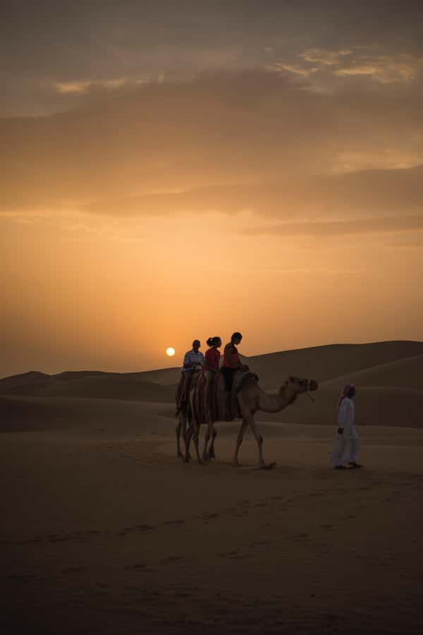 Doha: Shared Desert Safari, Sandboarding, Camel Ride - Sandboarding: Sliding Down Dunes Without Snowboard Problems