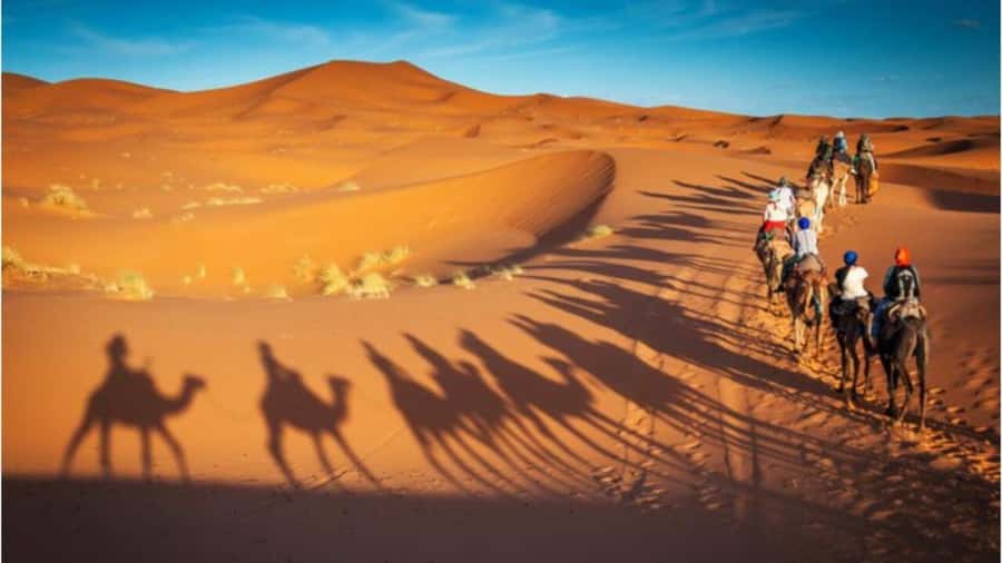 Doha: Shared Desert Safari, Sandboarding, Camel Ride - What to Bring for a Comfortable Doha Desert Safari