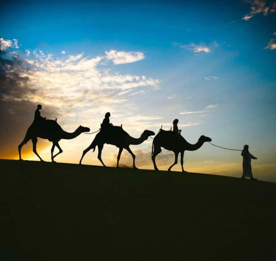Doha: Stargazing Desert Safari w/ Dune Bashing & Camel Ride - Getting from Doha to the desert, without the hassle