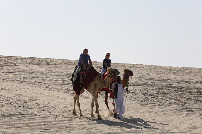 Doha; Sunrise Desert Tour and camel safari 4hrs - Inland Sea and the Gulf dip or swim break