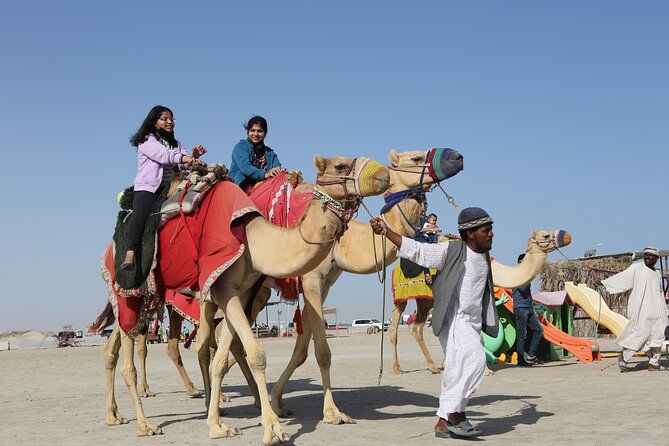 Doha; Sunrise Desert Tour and camel safari 4hrs - Photos, WiFi, and the guides who help you get the shot