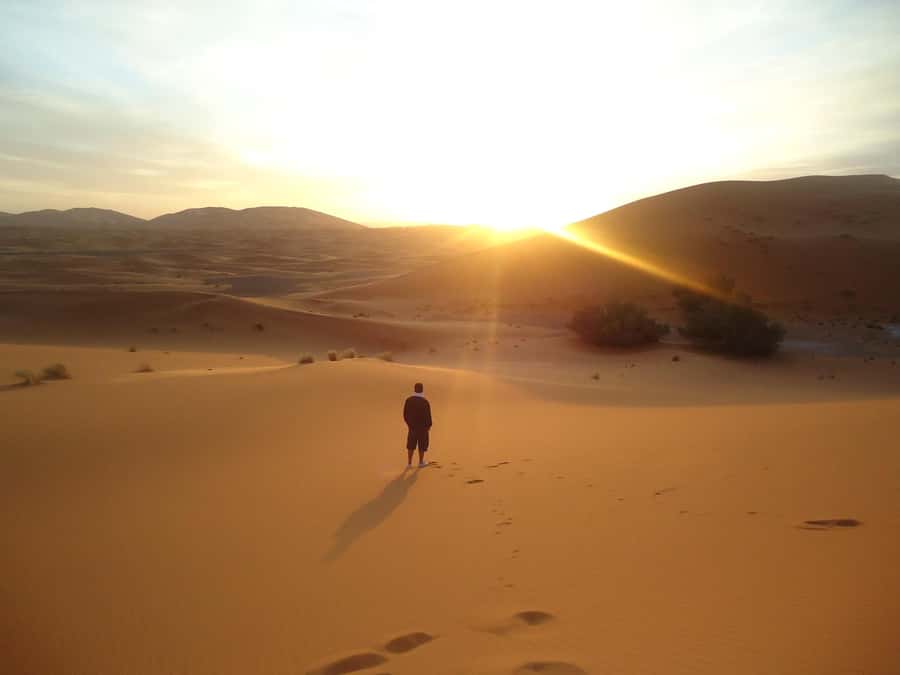 Doha:Sunrise or Sunset Desert Safari Tour with Sand Boarding - Key Points Before You Go