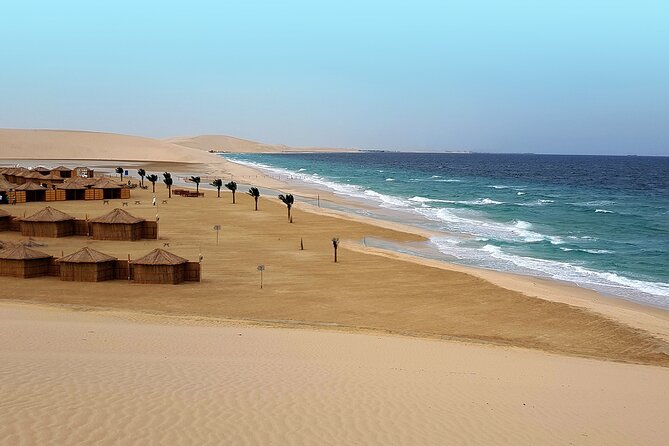 Doha: Sunrise /Sunset Desert Safari with Sand Boarding,Camel ride - Stop 1: Sealine Beach camel camp and tea break