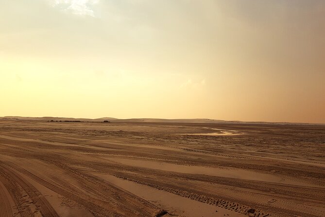 Doha: Sunrise /Sunset Desert Safari with Sand Boarding,Camel ride - The main event: dune bashing in an air-conditioned 4x4