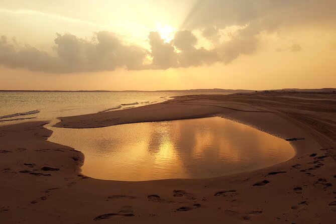 Doha: Sunrise /Sunset Desert Safari with Sand Boarding,Camel ride - Pickup in Doha, then straight into the action