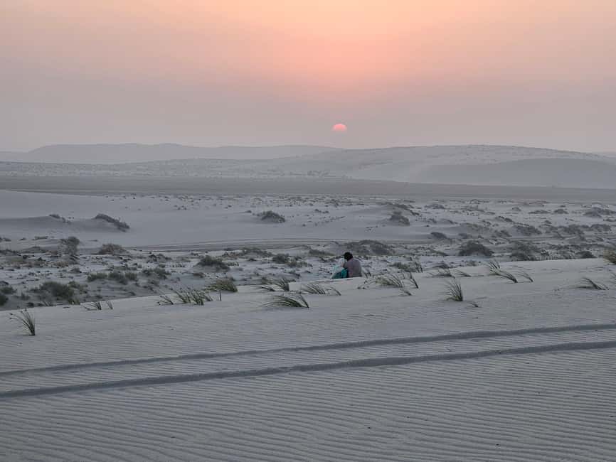 Doha Sunrise/Sunset or Night Stargazing desert safari. - Price and value: is $72 a fair deal for this 4-hour plan?