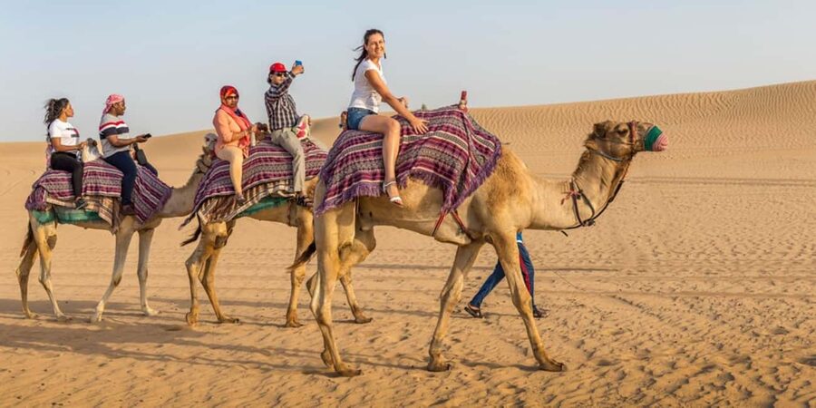 Doha: Sunset Desert Safari, ATV, Camel Ride and Sandboarding - The Camel Ride Stop and Why It’s Short, Not a Full Adventure