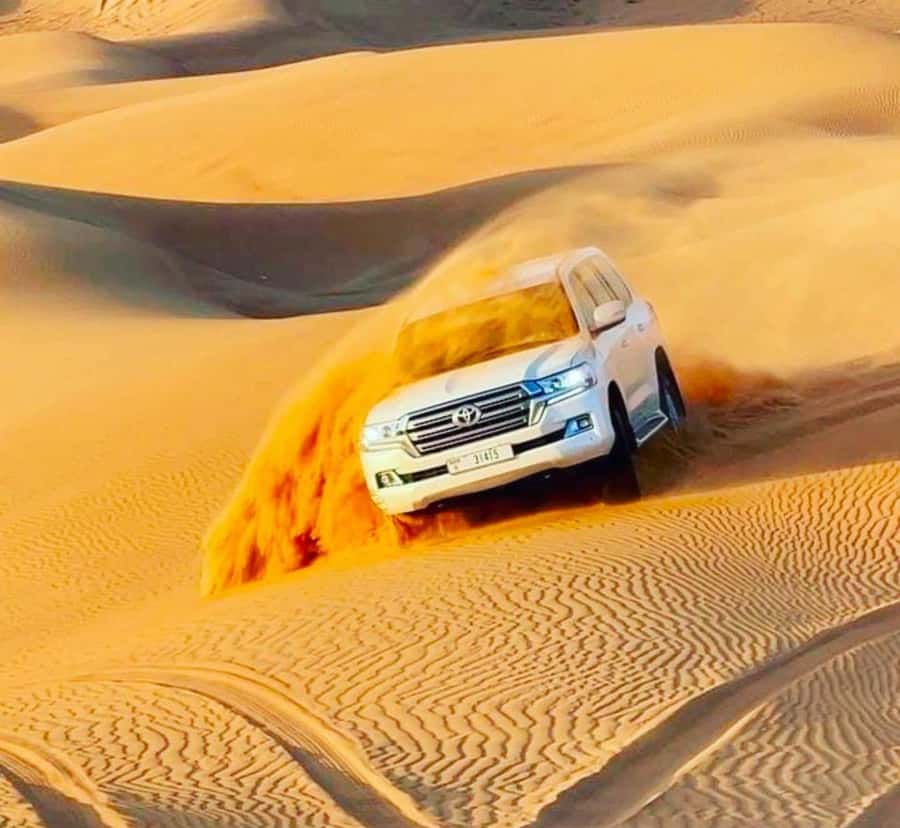 Doha: Sunset Desert Safari with Camel Ride & Sandboarding - Key Things I’d Focus On Before You Book