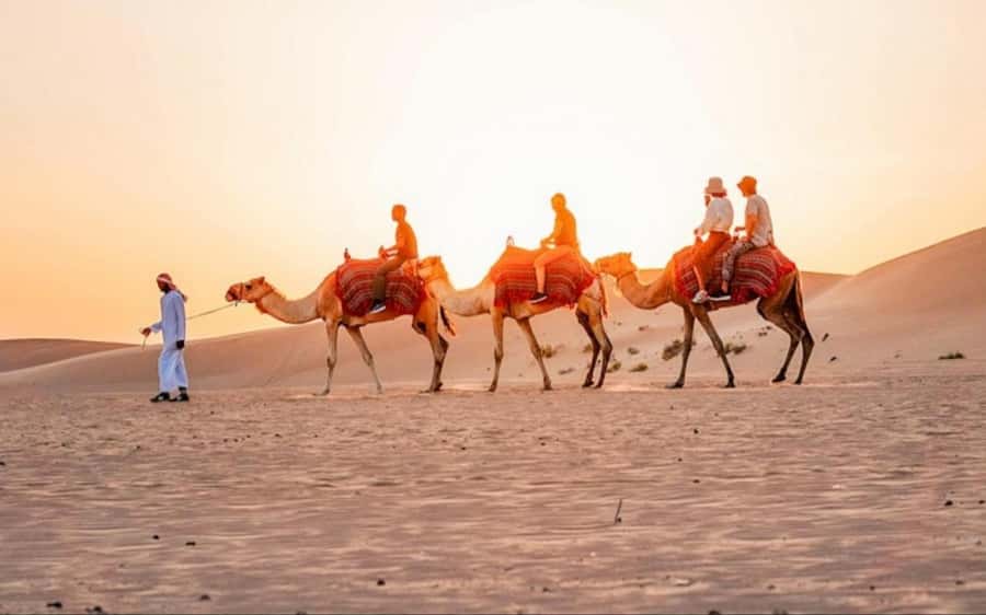 Doha: Sunset Desert Safari with Camel Ride & Sandboarding - A Half-Day Doha Desert Safari That Balances Thrill and Sunset